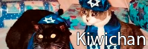 shabat shalom nigga